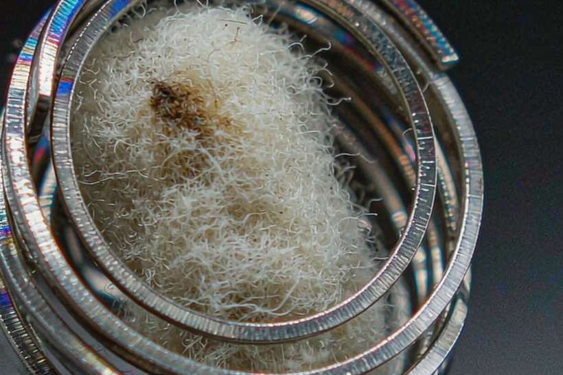 Bulk Distribution for Elektronna Ya Sisgareta in Madrid — Middle East