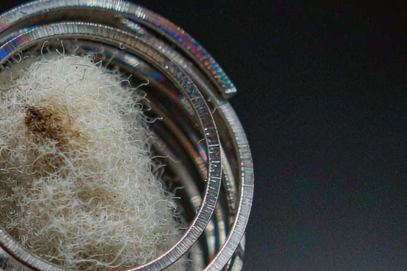 Bulk Distribution for Elektronna Ya Sisgareta pods — Autumn stock