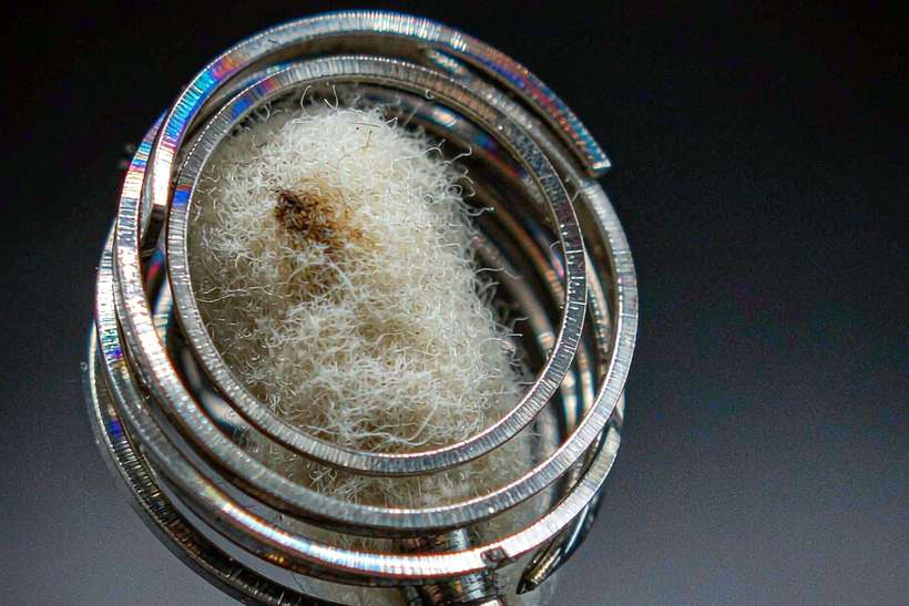 FAQ on Elektronna Ya Sisgareta disposables — limited batch