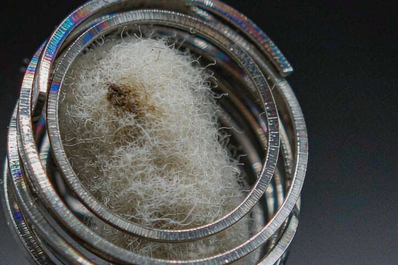 Flavor Catalog of Elektronna Ya Sisgareta kits — small parcel