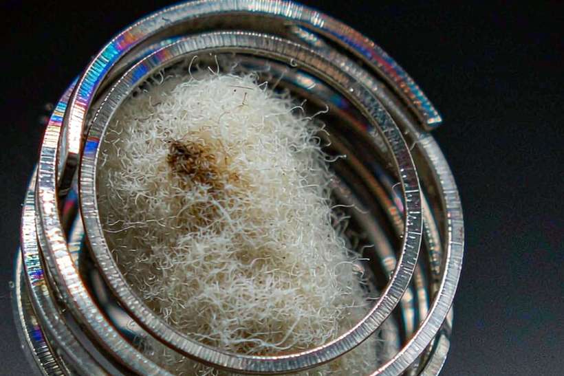 How to Store Elektronna Ya Sisgareta pods — Autumn stock