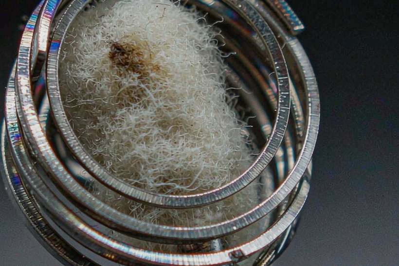 Launch Plan for Elektronna Ya Sisgareta coils — Winter special