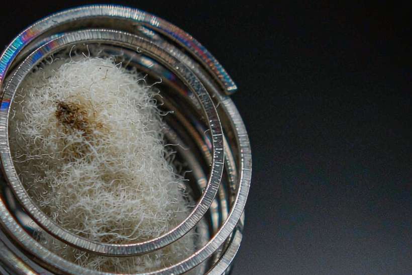 Launch Plan for Elektronna Ya Sisgareta pods — limited batch
