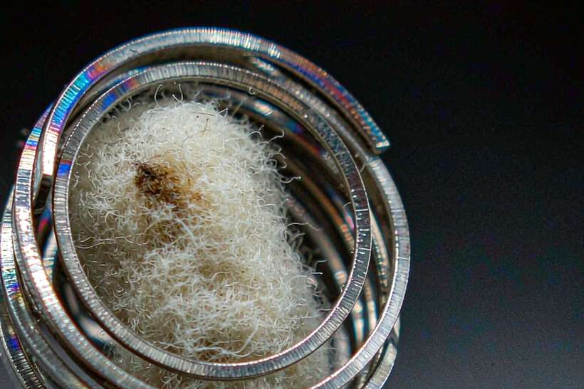 Regional Review of Elektronna Ya Sisgareta pods — Summer deals